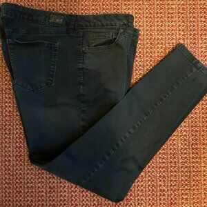 STYLE & CO Black Jeans/Low Rise Jeggings